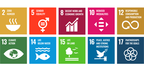 sdgs